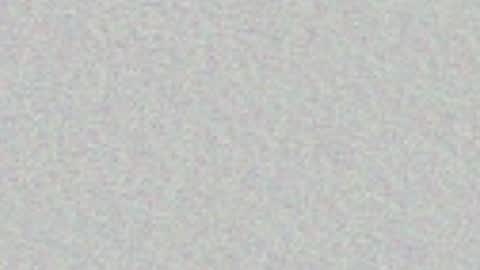 Arianna Collins online show from April 2026 11:28:01 AM