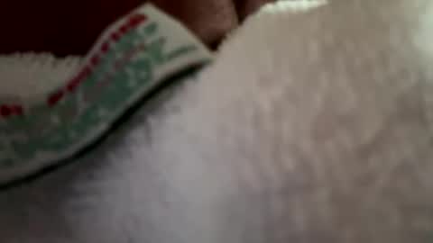 arley1966 online show from April 2026 11:46:02 PM