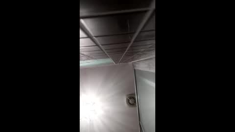 art2414 online show from April 2026 08:37:01 AM