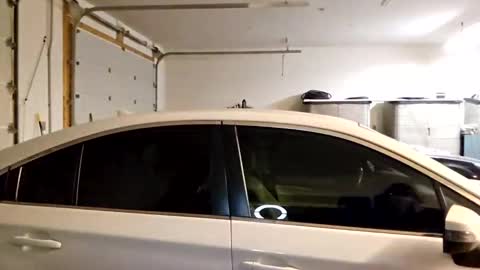 Ashelynn Grey online show from February 2025 07:21:01 AM