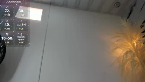 ashley_7777 online show from March 2025 06:08:02 PM