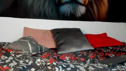 Snapshot of ashley_girl_queen chatting on June 2026 03:00:02 PM ashley_girl_queen online show from June 2026 03:00:02 PM