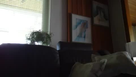 asusandy online show from July 2026 02:56:02 PM