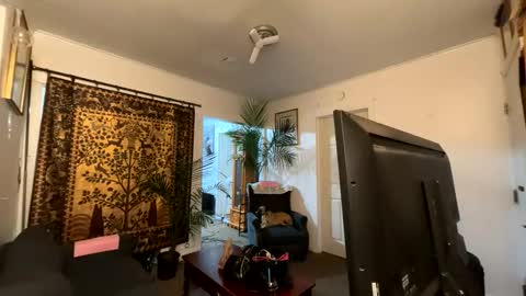 Snapshot of auroranightsxxx chatting on April 2026 03:48:01 AM Destiny Nicole online show from April 2026 03:48:01 AM