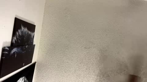 Lily  Orion online show from February 2025 01:37:01 AM