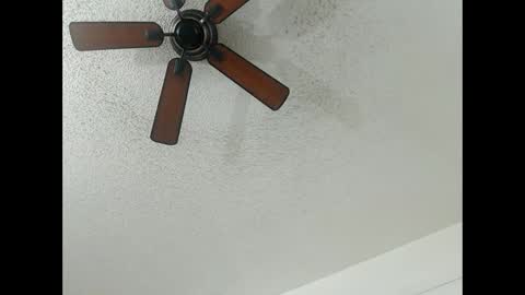 Lily  Orion online show from February 2025 01:19:01 AM