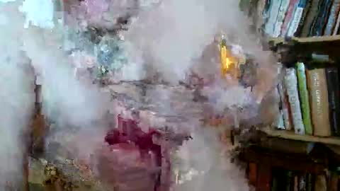 avesatana666 online show from June 2026 09:43:02 PM