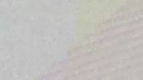 avgjoe555 online show from June 2026 02:17:02 PM