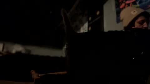 baby buddha  online show from December 2024 07:56:01 PM