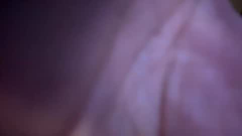 baby buddha  online show from January 2025 01:28:01 PM