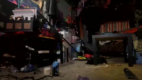 baby buddha  online show from February 2025 04:48:02 AM