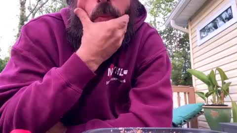 backcheck97 online show from September 2025 10:37:01 AM