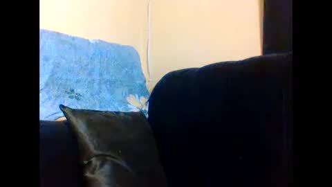 Lily. online show from December 2025 01:31:02 PM