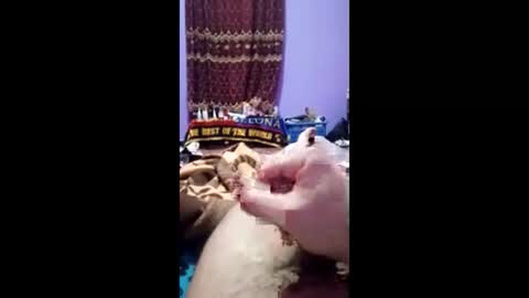 bahaa5555 online show from March 2026 07:16:02 PM