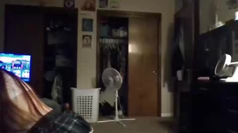 bambibae79 online show from April 2026 04:54:01 AM