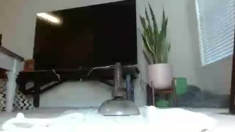bambirachel1 online show from June 2026 09:41:01 PM