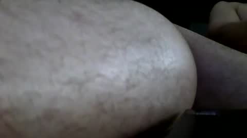 Snapshot of bardamu333333 chatting on July 2026 08:18:01 AM bardamu333333 online show from July 2026 08:18:01 AM