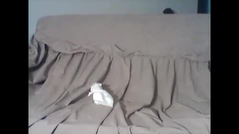 barrysand online show from November 2025 04:12:01 AM