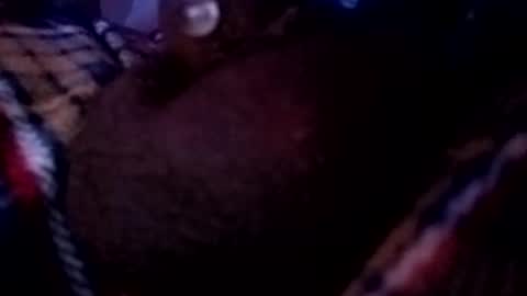 bcfalcon69 online show from May 2026 02:41:02 AM