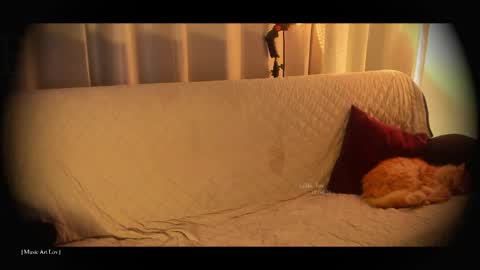 Call me Bells  Next Stream on Wednesday    Feb 26  online show from April 2026 07:58:01 PM