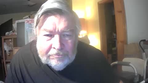 bear online show from April 2026 08:31:02 AM