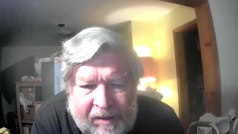 bear online show from June 2026 01:49:01 AM