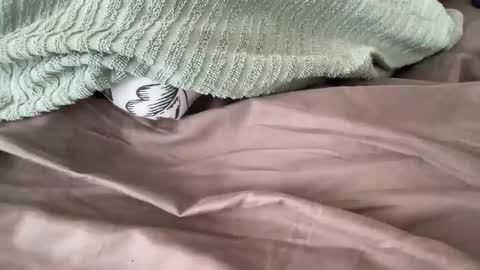 beaumec111 online show from March 2026 03:48:01 PM