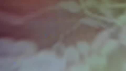 Bella Porch online show from February 2025 02:59:01 AM