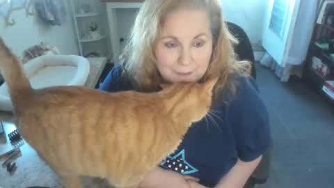 Bellavoca online show from April 2026 06:01:02 PM