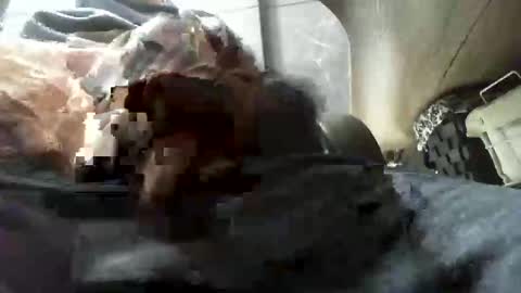 Snapshot of beninoam75 chatting on January 2026 07:33:02 AM beninoam75 online show from January 2026 07:33:02 AM