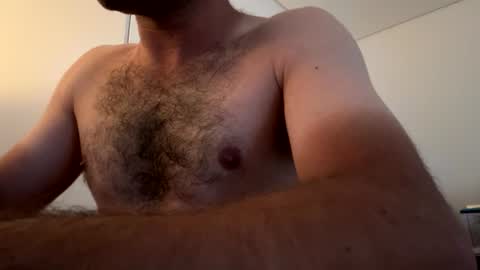 Berltex online show from July 2026 07:22:01 AM