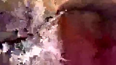 Snapshot of bg6680 chatting on February 2026 12:01:02 PM bg6680 online show from February 2026 12:01:02 PM