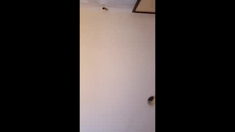 bgiamba21 online show from April 2026 06:33:01 AM