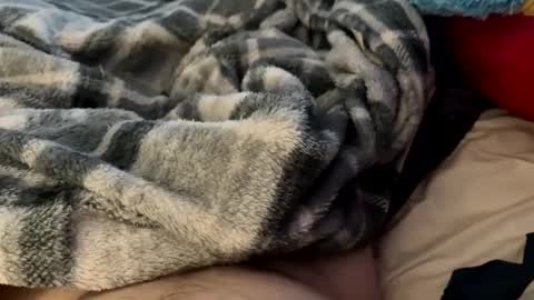 bi_guy_1993 online show from February 2025 03:20:01 PM