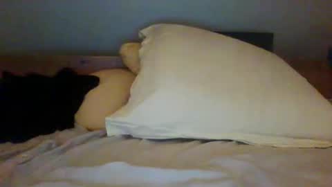 Snapshot of bibipheuck chatting on November 2025 12:04:01 PM bibipheuck online show from November 2025 12:04:01 PM