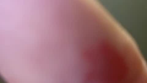 bigbennyflex online show from July 2026 04:20:01 AM