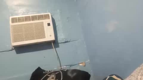 Snapshot of bigblu659 chatting on January 2025 08:48:02 PM bigblu659 online show from January 2025 08:48:02 PM