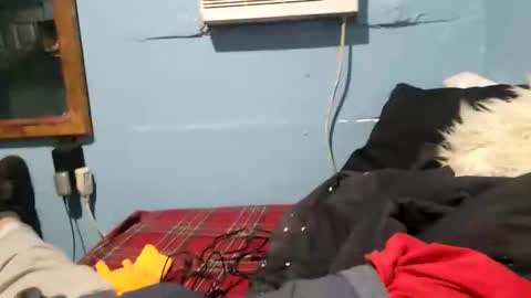 Snapshot of bigblu659 chatting on January 2025 12:35:02 AM bigblu659 online show from January 2025 12:35:02 AM