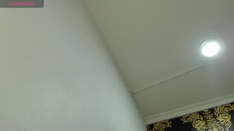 Snapshot of bigboobssammy chatting on July 2026 02:45:02 PM bigboobssammy online show from July 2026 02:45:02 PM
