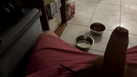 bigdaddy24569 online show from March 2026 04:18:01 AM