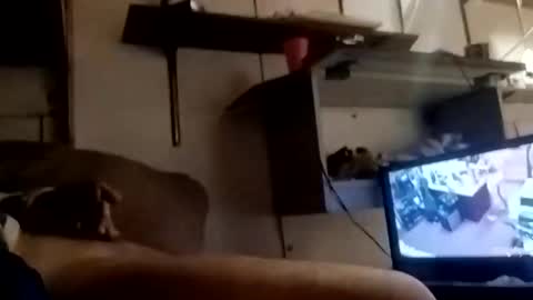 Daddchuko online show from January 2025 11:34:02 AM