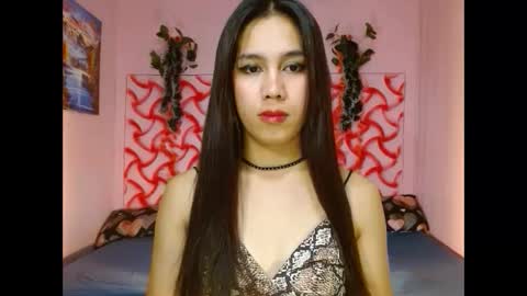 Snapshot of bigdickmistress4u chatting on March 2025 06:13:02 AM bigdickmistress4u online show from March 2025 06:13:02 AM
