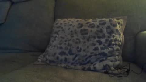 Snapshot of bigdt444420 chatting on November 2025 05:13:02 AM bigdt444420 online show from November 2025 05:13:02 AM