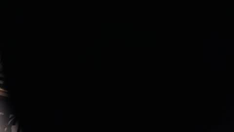 BigJohnOfTheWoods online show from January 2025 09:47:02 PM