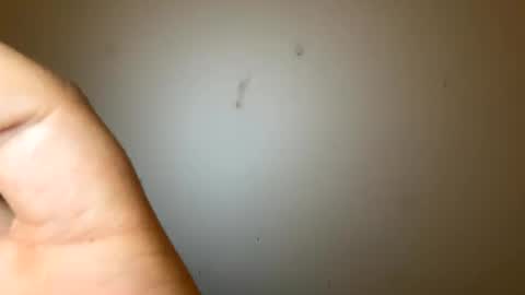 bigmaanbulk online show from January 2025 02:45:02 AM