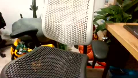 bigpolishdick12345 online show from June 2026 11:04:02 PM