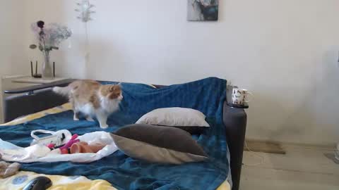 BigTwinsOmg online show from March 2026 06:50:01 AM