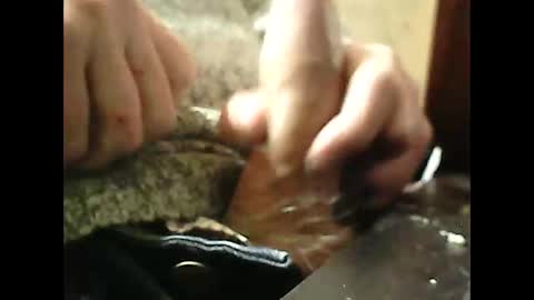 bilco03 online show from March 2026 12:22:01 PM