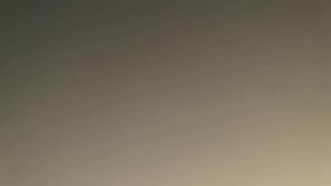 bill95099 online show from January 2025 04:43:01 PM