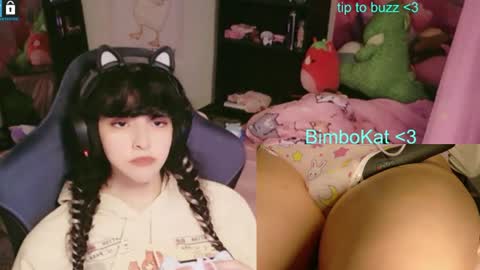 BimboCat online show from July 2026 11:18:01 PM
